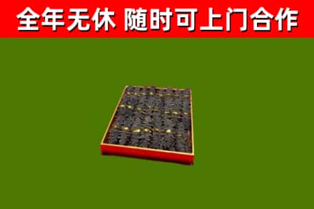 五莲回收海参